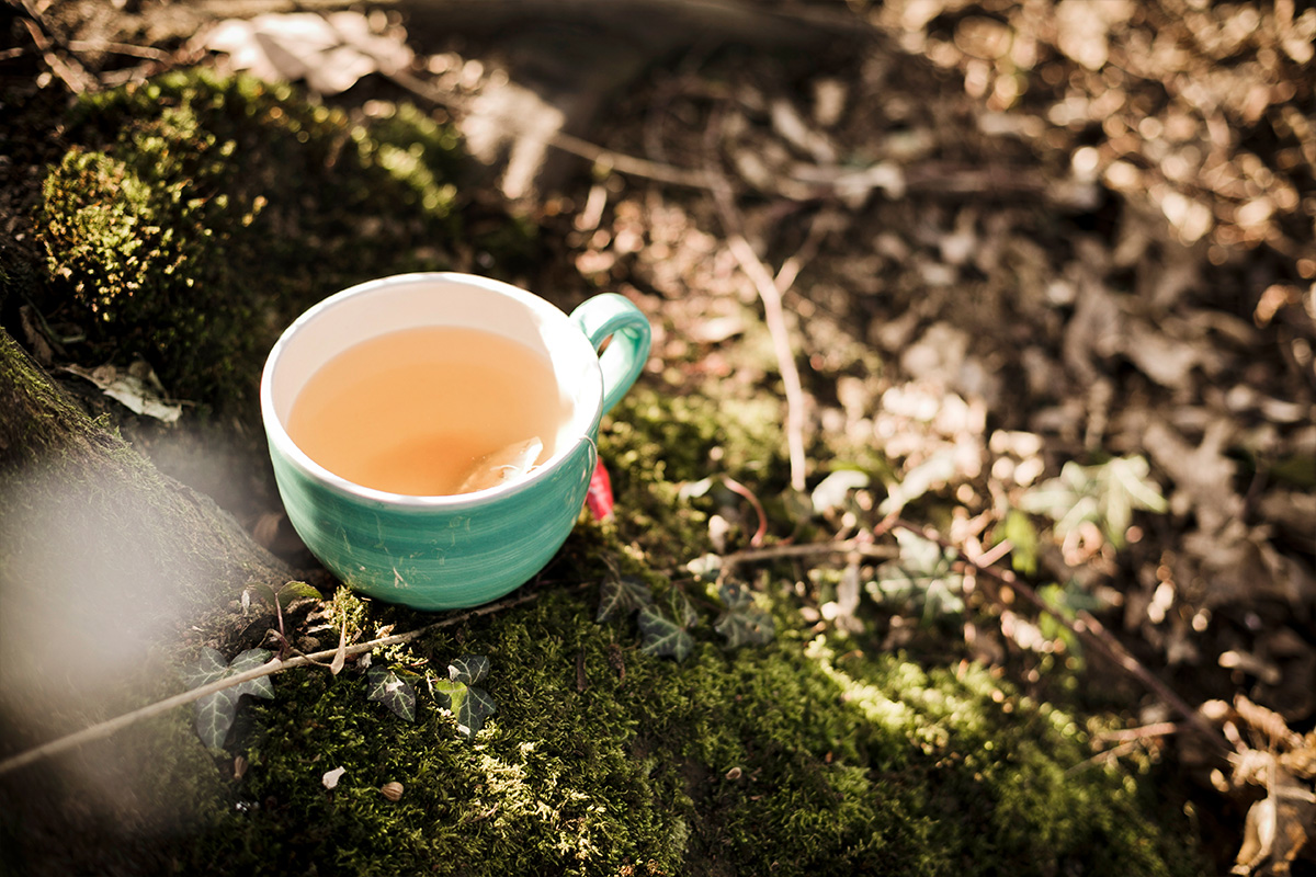 Dr. Nicola Stein - Tasse mit Tee